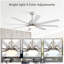 Ventilateur de plafond intelligent de 52 pouces avec lumières, 6 vitesses de vent, avec 8 pales en ABS noir, télécommande vocale, ventilateur pour chambre à coucher, salon, patio, cuisine, etc.