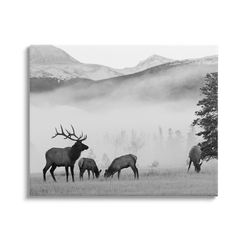 Art mural sur toile brumeux, "Deer" par Danita Delimont, H 16 po x l 20 po x P 1,5 po