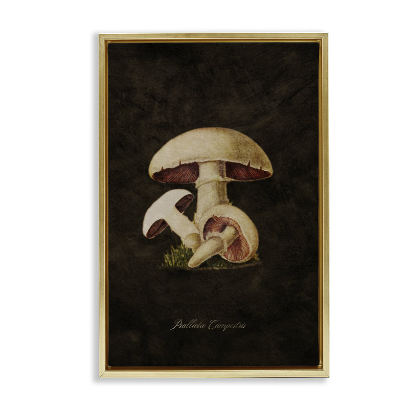 Toile flottante vintage avec champignon Portobello par Tina Higgins Designs, Inc., Cadre flottant métallique doré
