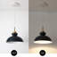 Luminaire suspendu simple à 1 lumière Gibran-1312792634