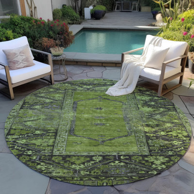 Tapis olive intérieur / extérieur lavable à la machine Xhevrie
