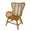 Padmini Upholstered Accent Chair
