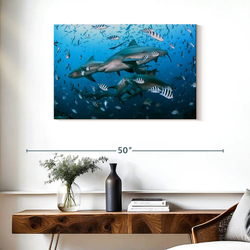 Aletra Beqa Lagoon Sharks, 24" H x 36" W