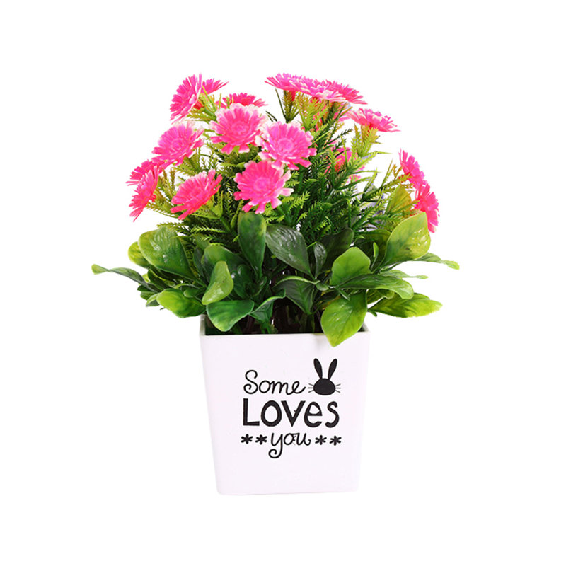 Arrangement floral de chrysanthèmes en pot, Rose