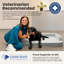 Canapé orthopédique Lesure RealOrtho 3 couches en mousse à mémoire de forme avec housse amovible pour chien-135250918-135250919