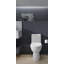 Toilette allongée écoénergétique Reach ™ 1,28 GPF-107149312