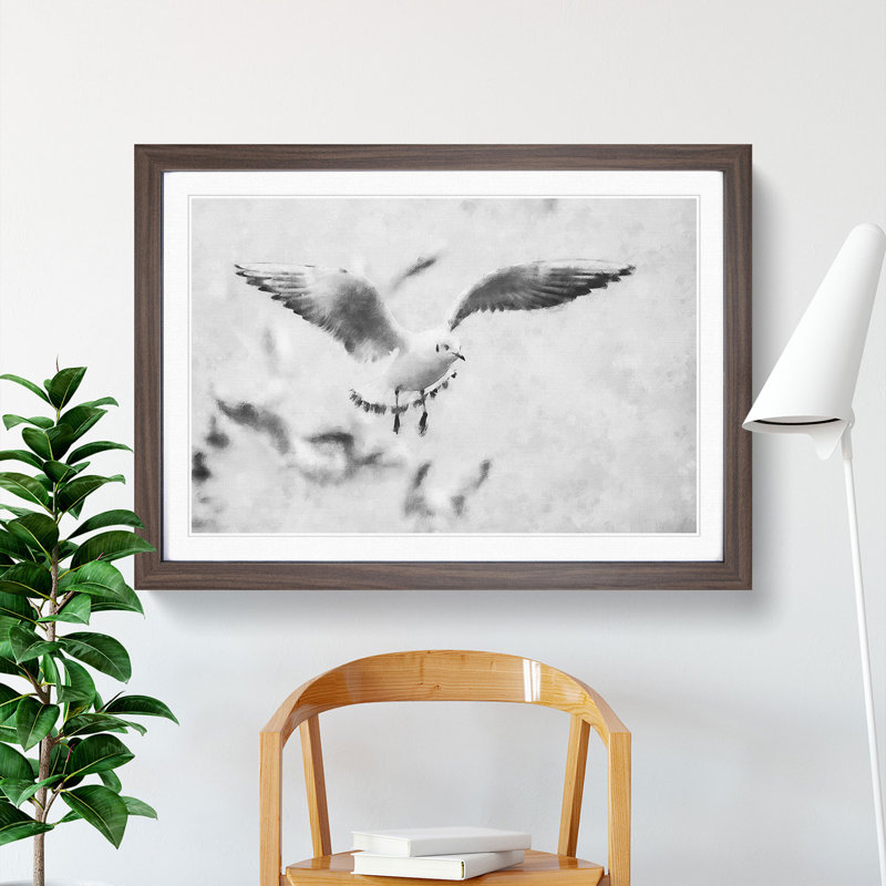 Seagull Birds - Picture Frame Graphic Art, Walnut Framed, 48cm H x 65cm W x 2cm D