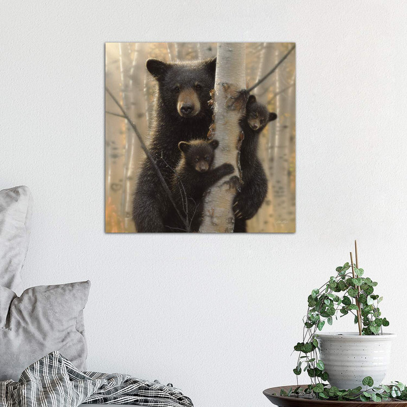 «Mama Black Bear» par Collin Bogle Print, Toile tendue, H 18 po x l 18 po x P 1,5 po