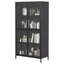 Armoire de rangement en métal noir de qualité supérieure avec portes en verre trempé, tablettes réglables, dispositif anti-basculement, fermeture silencieuse magnétique et pieds réglables pour la maison et le bureau
