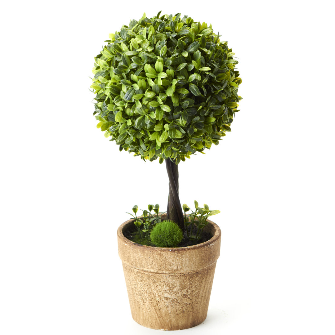 13'' Faux Boxwood Topiary in Planter Charlton Home®