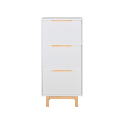 12 Pair Shoe Storage Cabinet