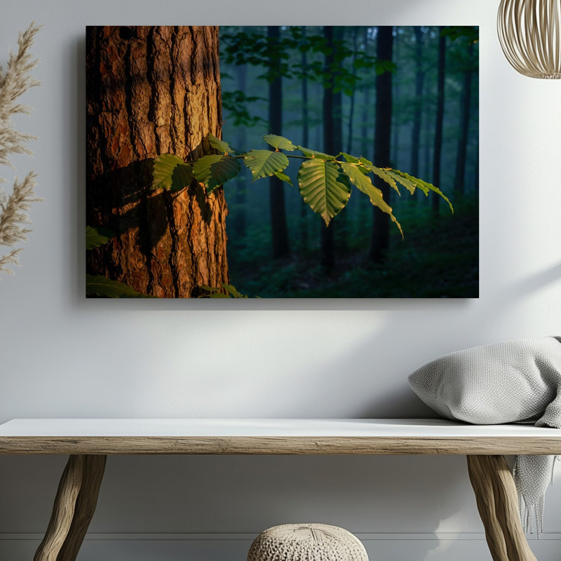Toile, scène sereine de forêt avec gros plan sur un tronc d'arbre avec écorce brune texturée partiellement illuminée par une toile tendue
