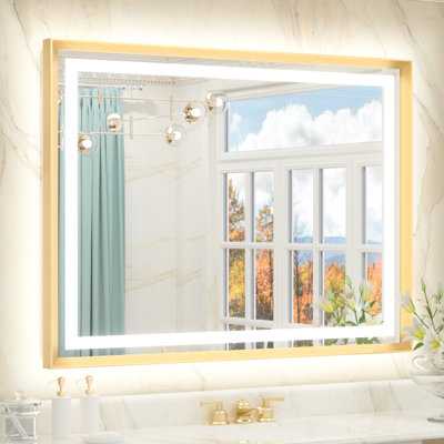 Dineen Front and Backlit LED Bathroom Vanity Mirror