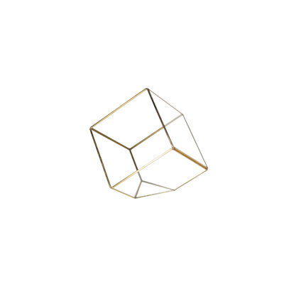 Terrarium en verre Raekwon Heptahedron