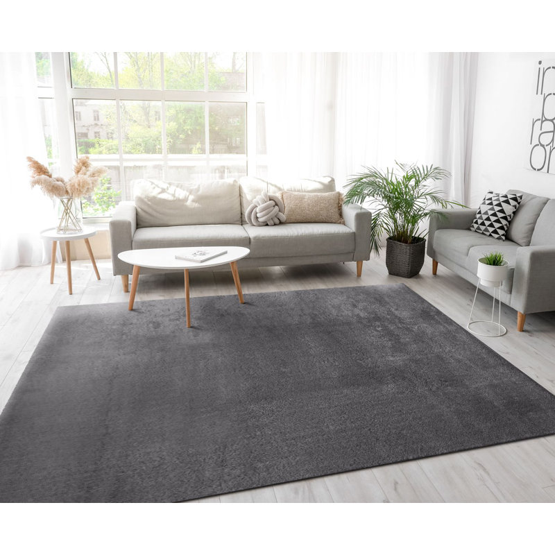 Tapis doux, doux, à poils courts, antidérapant, de couleur unie, lavable, Rectangle 2 pi x 3 pi 3 po, Gris clair