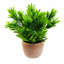 22cm Faux Plant in Terracotta Planter