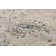 Attell Floral Indoor Rug