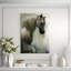 Noble Steed Print by Emma Brooks-26927643-26927649