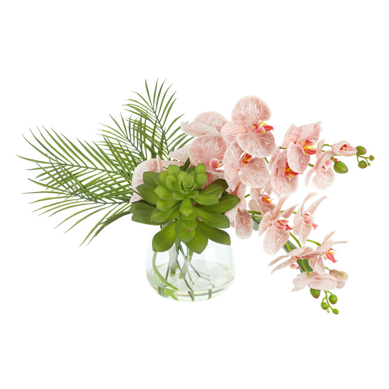 Orchid and Succulent Arrangement