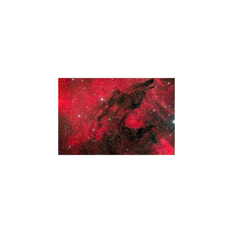 Wrapped Canvas Print, 50.8 cm H x 76.2 cm W