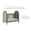 Bondi Cane 3-in-1 Convertible Crib-132367655