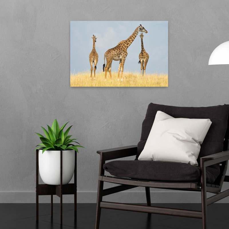 Wild Giraffe Trio Abstract Contemporary Giraffe Landscape Nature Wall Art Print, 40.64cm H x 60.96cm W