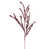 Burgundy Red
