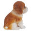 Statue Cavalier King Charles-38031863