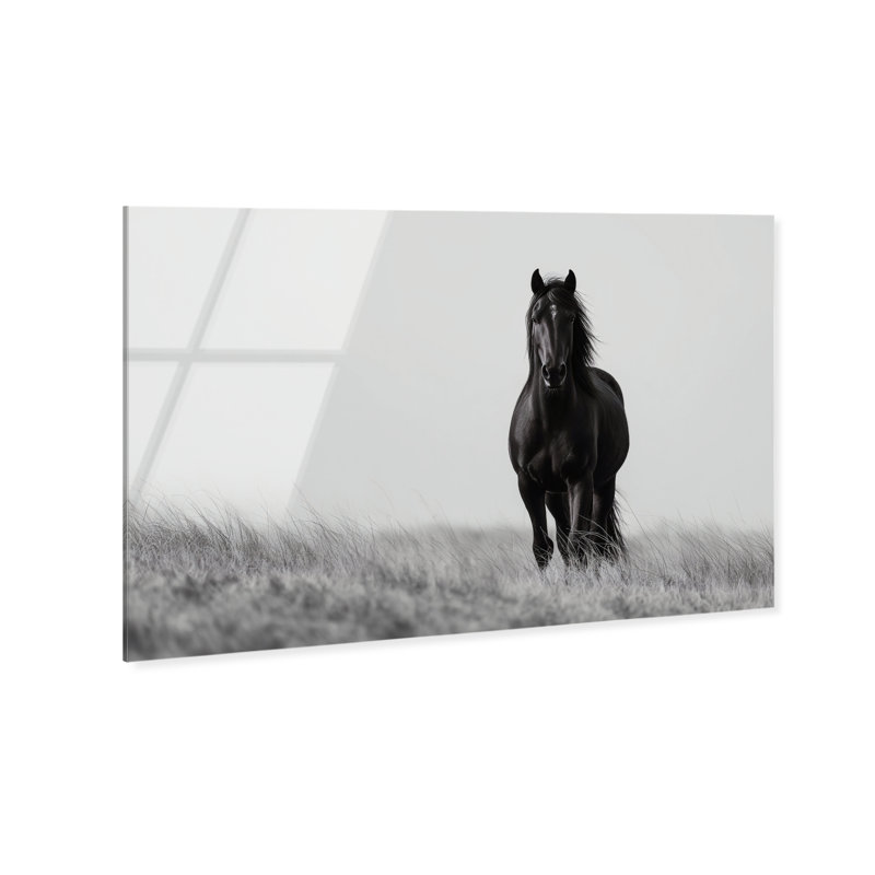 Lone Stallion I Print, 10" H x 15" W, High-Gloss Acrylic Print