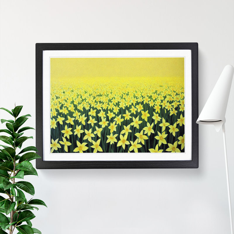 Daffodil Field - Single Picture Frame Print, 46cm H x 64cm W x 2cm D, Black