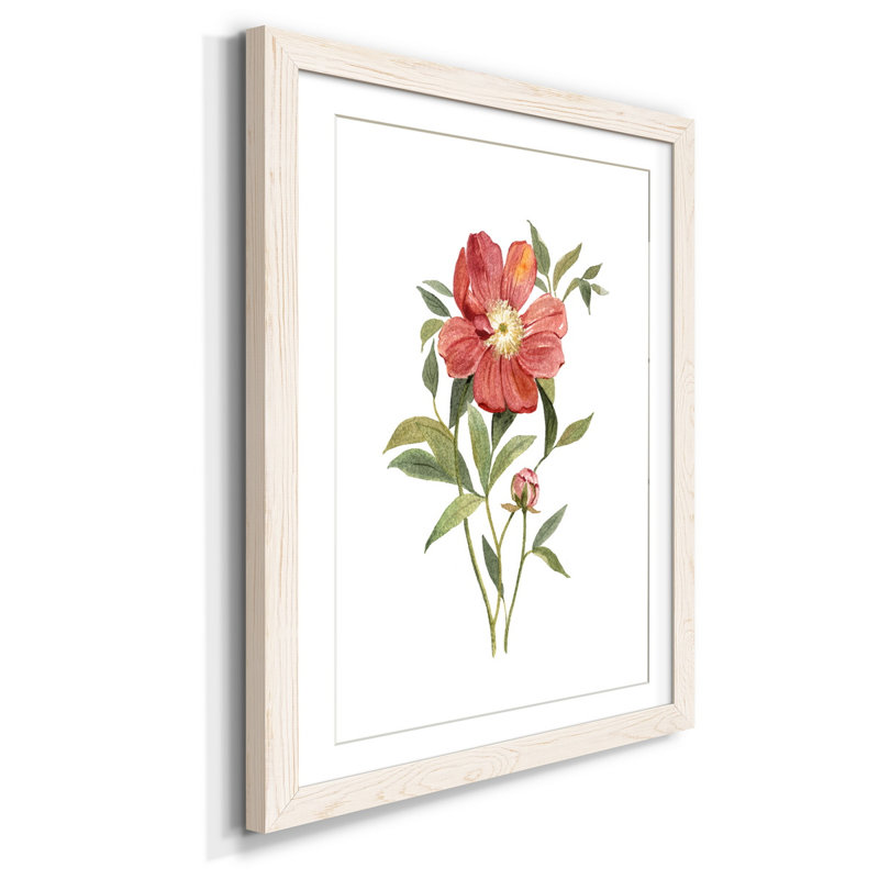 Pivoine écarlate - cadre photo, reproduction d'art sur papier, H 44 po x l 31 po x P 1 po, Cadre blanc