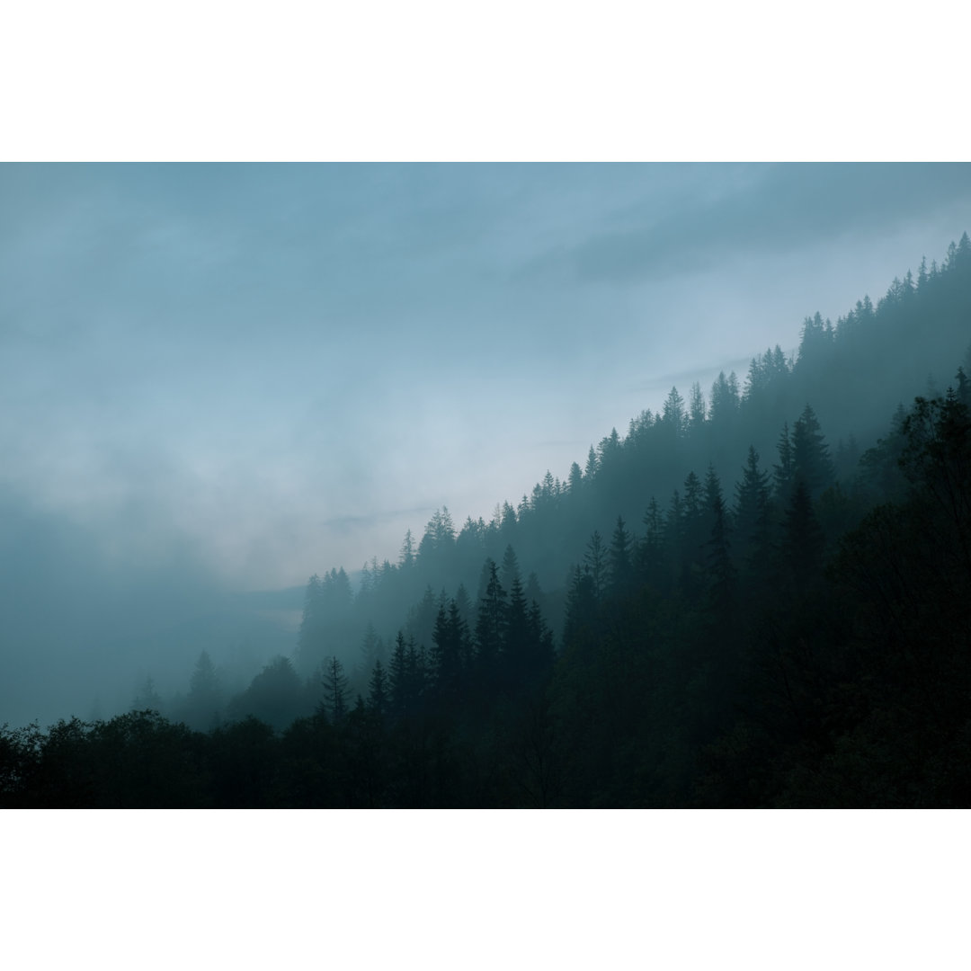 Misty Forest von Macroworld - Kunstdrucke auf Leinwand