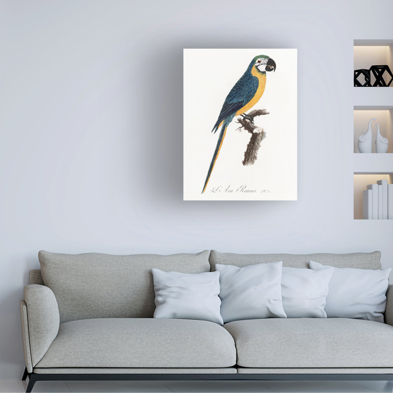 "Ologiste Perroquet I "sur toile, H 19 po x l 14 po