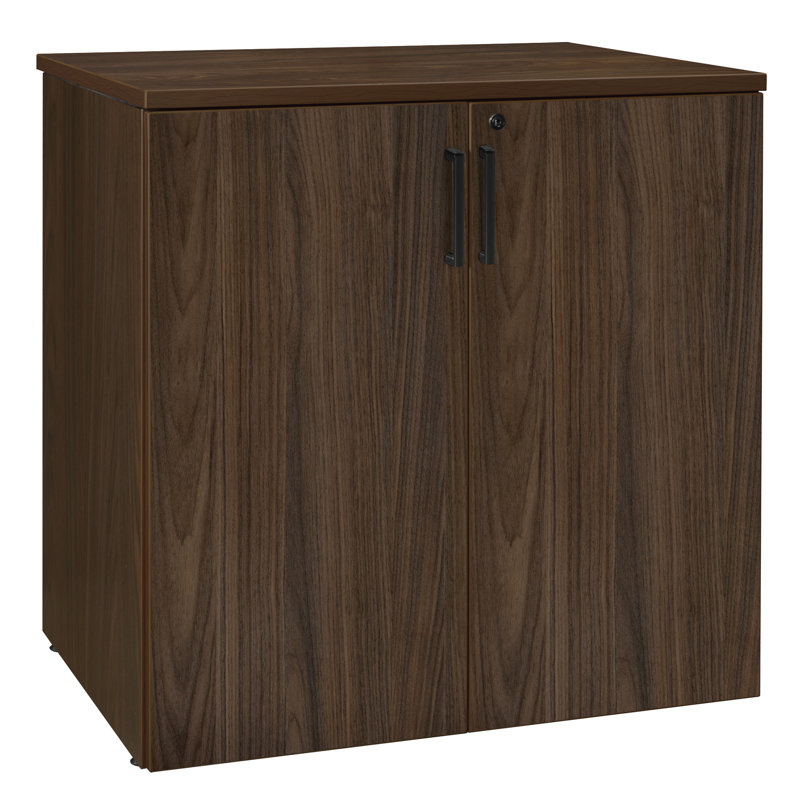 Nevjana Office Storage Cabinet