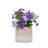 Handmade Non-Porous Ceramic Planter Set Of 2, 6" & 8" Diameter, Beige Drip Glaze, For Aquatic Plants Indoor/Outdoor Shelf & Desk Use, Breathable Clay-2015325234