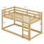 Lit superposé en bois avec échelle-850620560