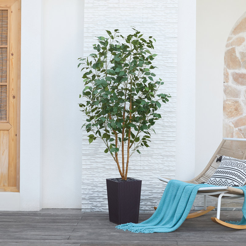 Adcock UV Protected Artificial Ficus Tree with Decorative Base, Faux Ficus Plant with Natural Trunk, 72" H x 24" W x 24" D