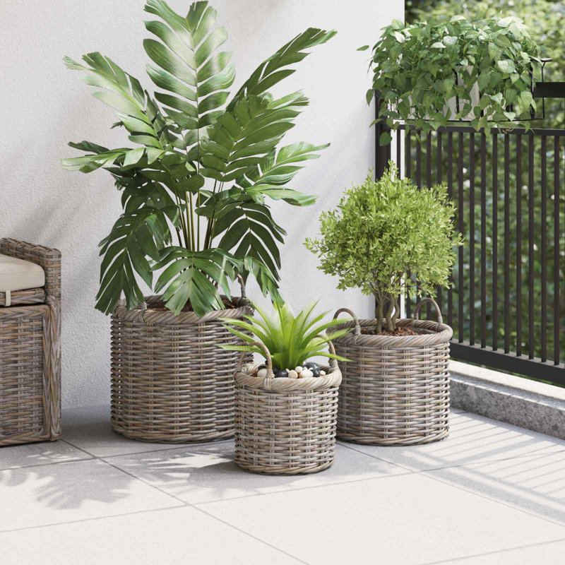 Bloomsbury Market Kubu Rattan Box, Kubu Grey