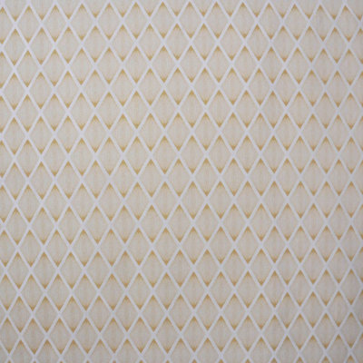 Geometric Fabric