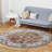 Paarth Oriental Indoor Rug-851397146