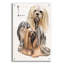 «Lhasa Apso» par Barbara Keith, impression sans cadre-323085539