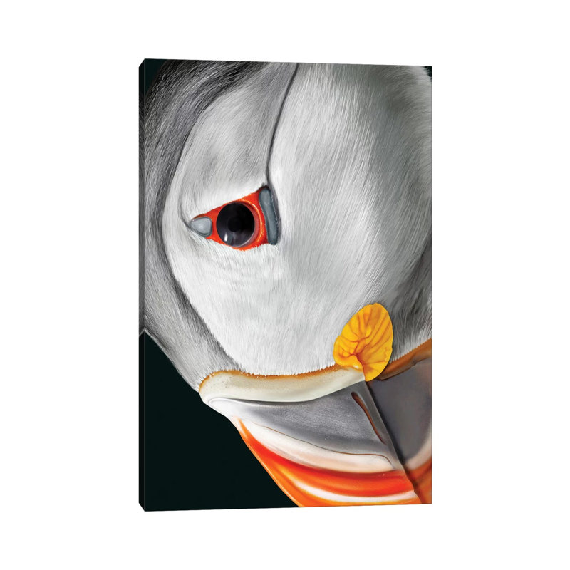 Atlantic Puffin 1 Piece Wrapped Canvas Painting, 20.32 cm H x 30.48 cm W