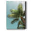 Palm Verde-reproduction de photo sur toile tendue-1190895392