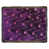Light Purple/Pink