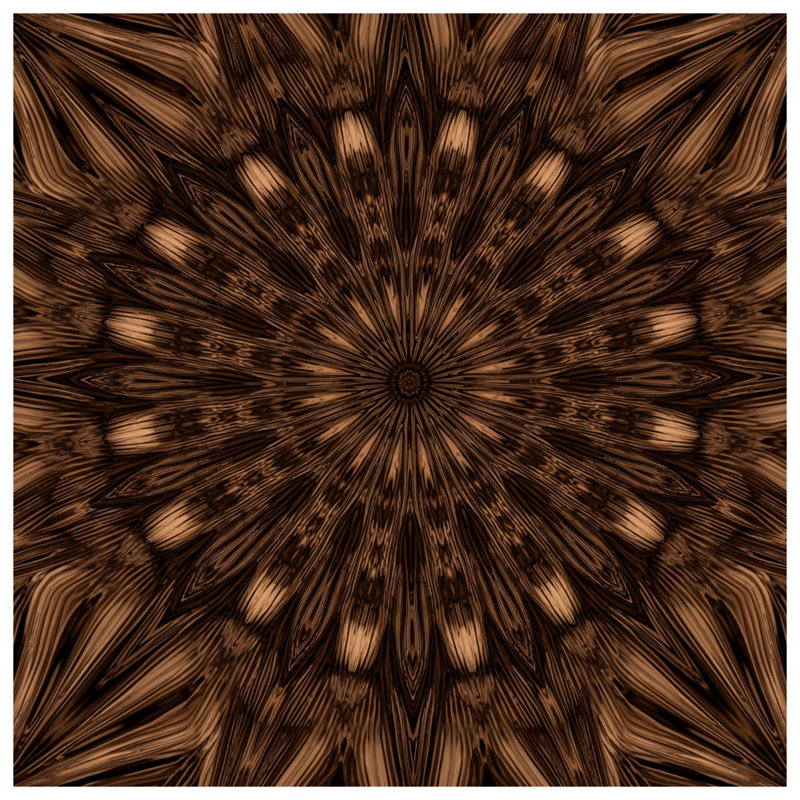 Coussins Brown, 20 x 20 pouces