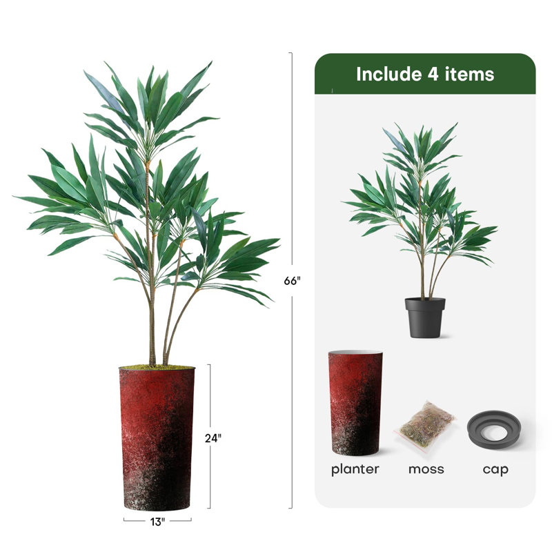 66 plantes, Granit rouge