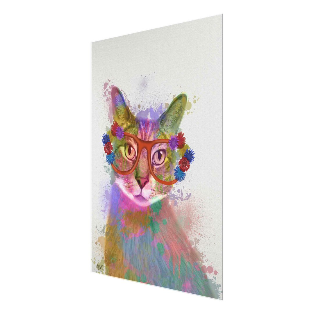 Glasbild Splash Katze Regenbogen