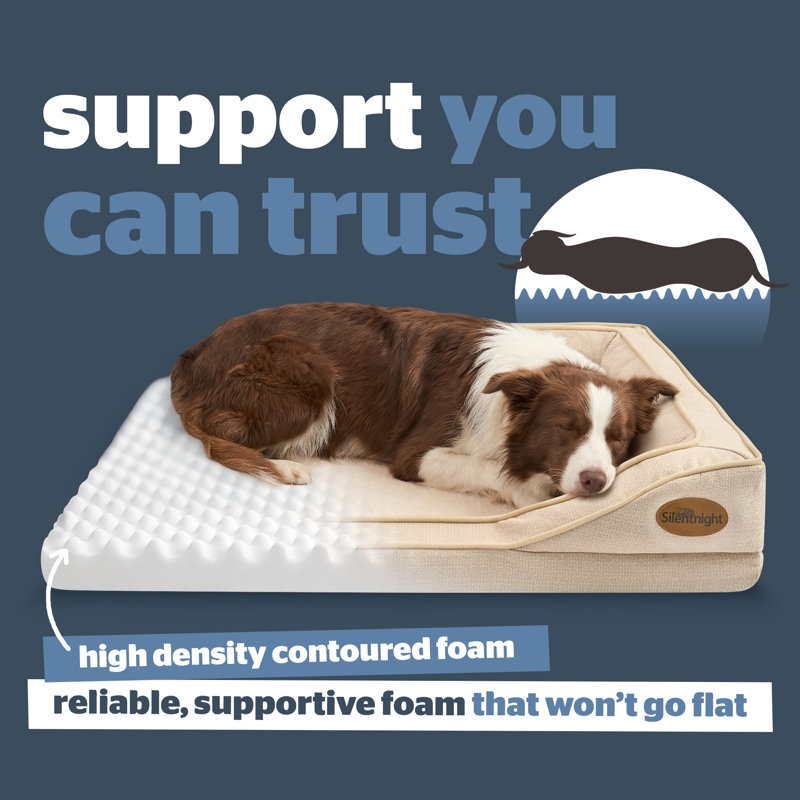 Silentnight Orthopaedic Luxury Pet Bed, 19cm H x 95cm W x 69cm D, Beige