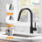 OAKLAND Pull Down Kitchen Faucet-55638825