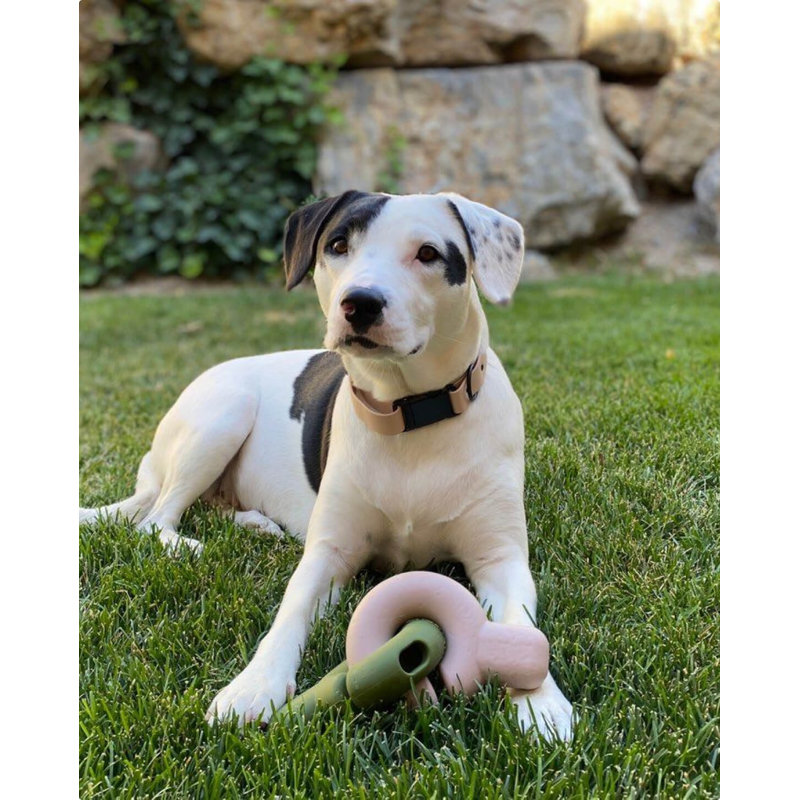 Falcon Hybrid Feeder/Toy, Blush